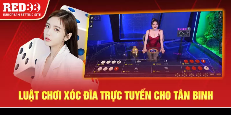 Quy tắc tham gia chơi xóc đĩa online cho tân binh